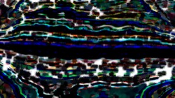 image: image from geodesic