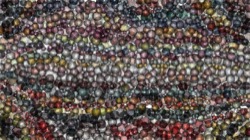 image: image from geodesic