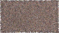 image: image from lighting paints