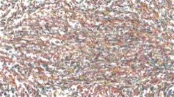 image: image from liquid cloners