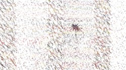 image: image from liquids