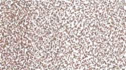 image: image from liquids