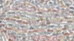 image: image from msg paint 1