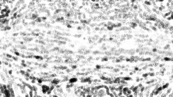 image: image from natural media