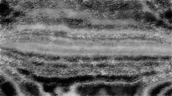 image: image from natural media