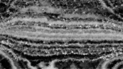 image: image from natural media