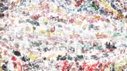 image: image from oils wet