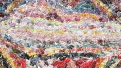 image: image from oils wet