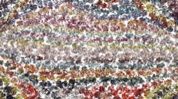 image: image from oils wet