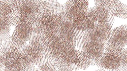 image: image from pattern effects