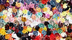 image: image from pattern effects