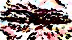 image: image from radical