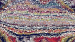 image: image from radical