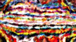 image: image from radical