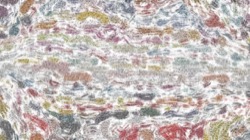 image: image from radical