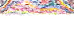 image: image from regions auto drawn