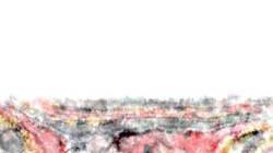 image: image from regions auto drawn