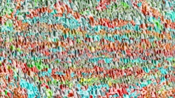 image: image from regions auto drawn