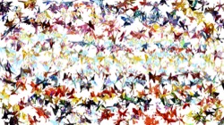 image: image from regions auto drawn