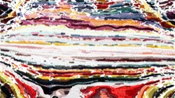 image: image from regions auto drawn