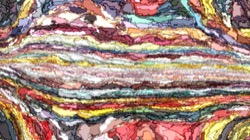 image: image from regions auto drawn