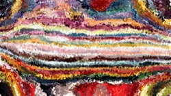 image: image from regions auto drawn