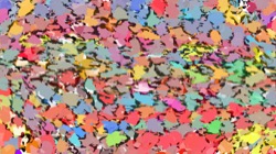 image: image from regions auto drawn