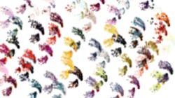 image: image from sprays