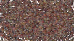 image: image from sprays