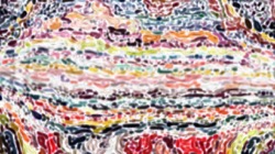 image: image from vibrant