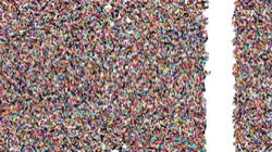 image: image from vibrant