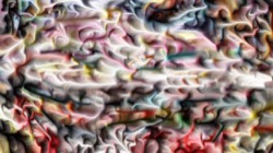 image: image from vibrant