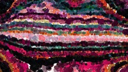 image: image from vibrant