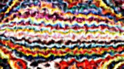 image: image from vibrant