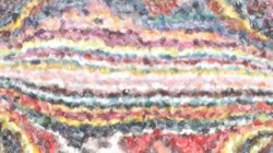 image: image from wet