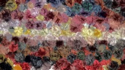 image: image from wet