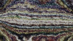 image: image from wet 1