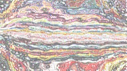 image: image from wild ones