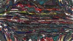 image: image from wild ones