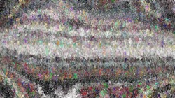 image: image from wild ones