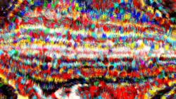 image: image from wild ones