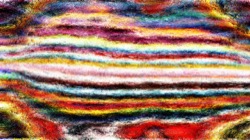 image: image from wild ones