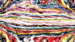 image: image from wild ones