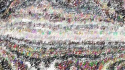 image: image from wild ones