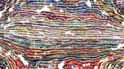 image: image from wild ones