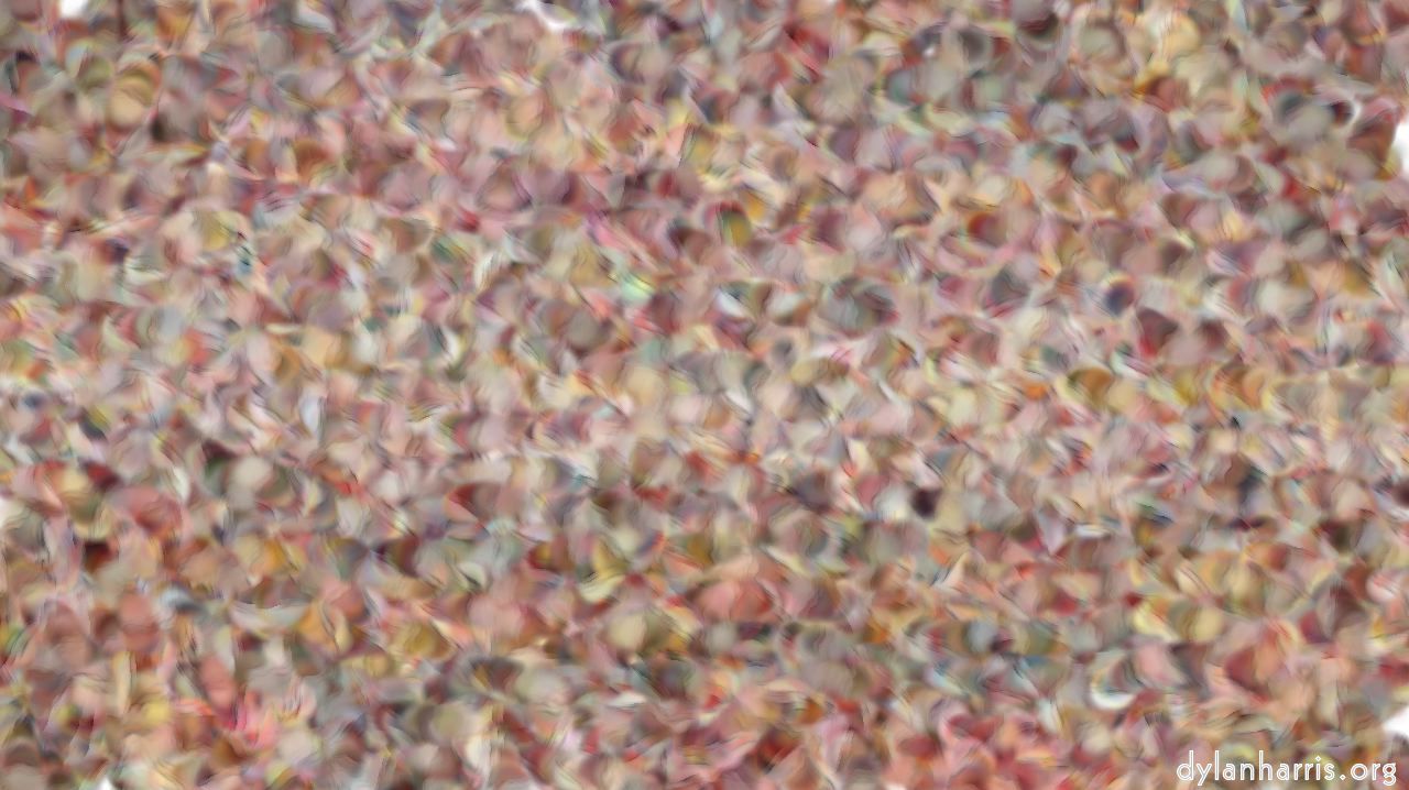 image: abstraction :: camoflage