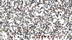 image: image from active