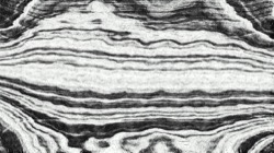 image: image from background texture dither