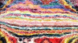 image: image from bristle