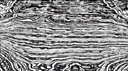 image: image from bw hatching